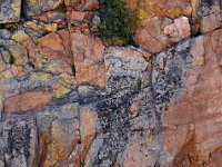 Rock Fault  Continental Divide, CO