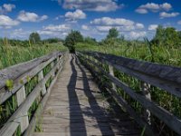 Boardwalk, Bong Recreational Area, WI